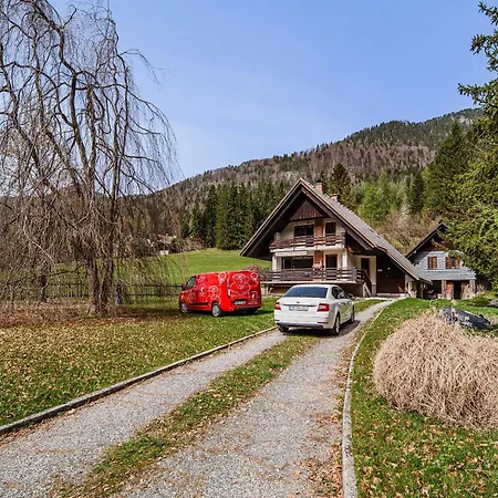 Kopriva Gozd Martuljek