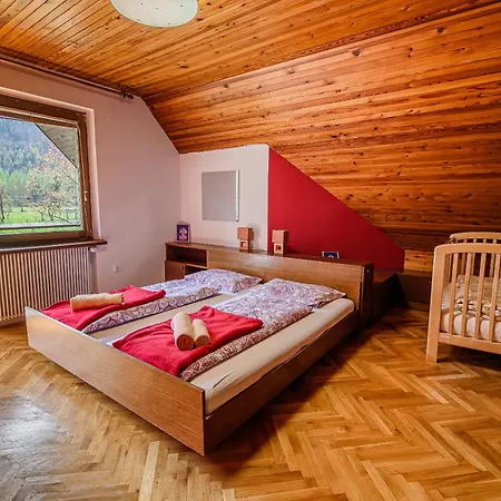 Kopriva * Gozd Martuljek