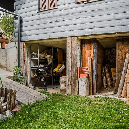 Kopriva Сasa de vacaciones Gozd Martuljek