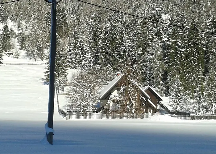 Kopriva * Gozd Martuljek